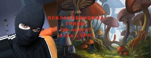 mix Абаза