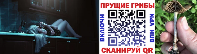Псилоцибиновые грибы Cubensis  Тимашёвск 